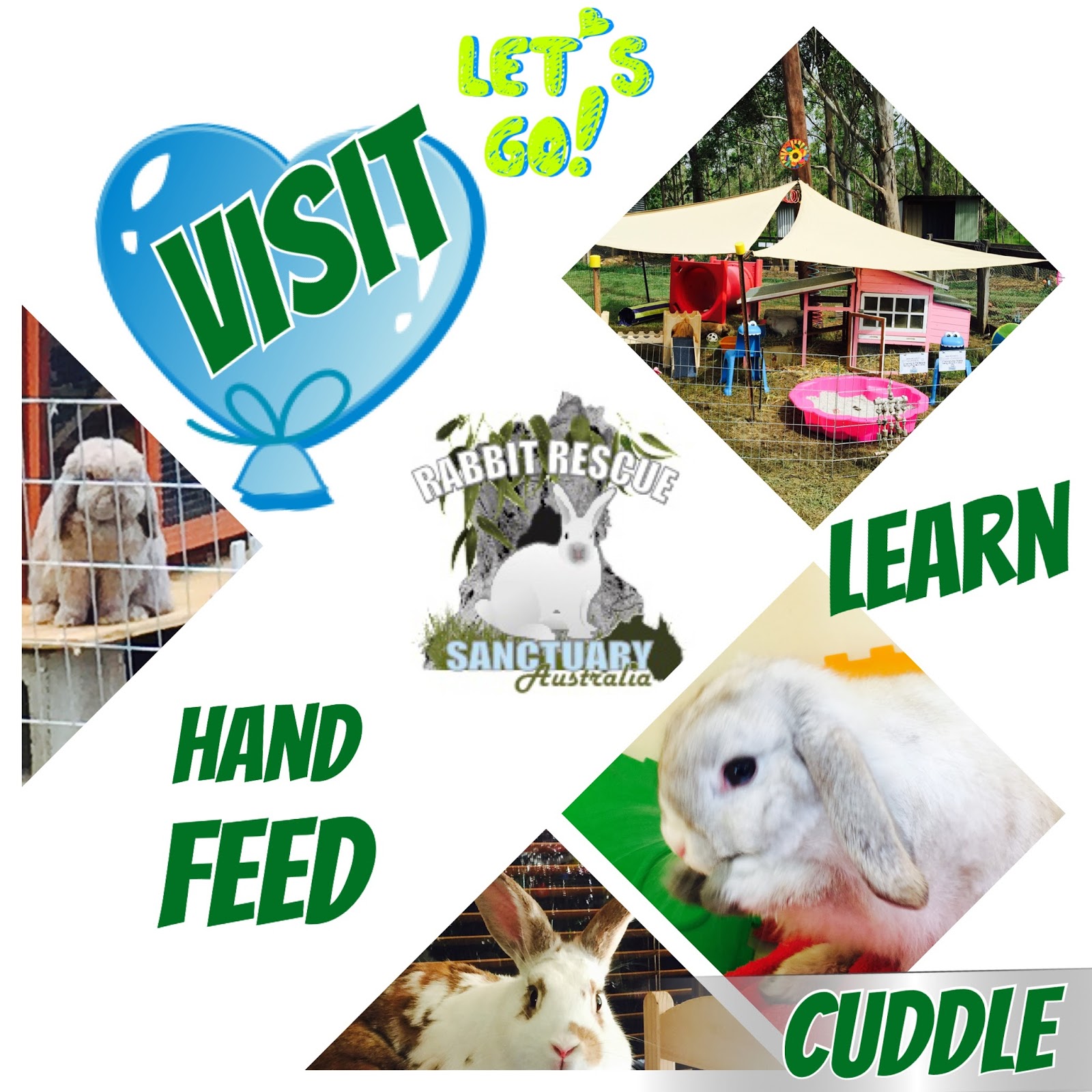 Rabbit Rescue Sanctuary VISIT THE RABBIT RESCUE SANCTUARY & ADOPTION