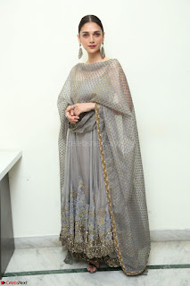 Aditi Rao Hydari looks Beautiful in Sleeveless Backless Salwar Suit 005