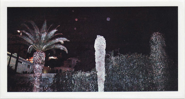 dirty photos - umbra - a night street photo of three plam trees in crete