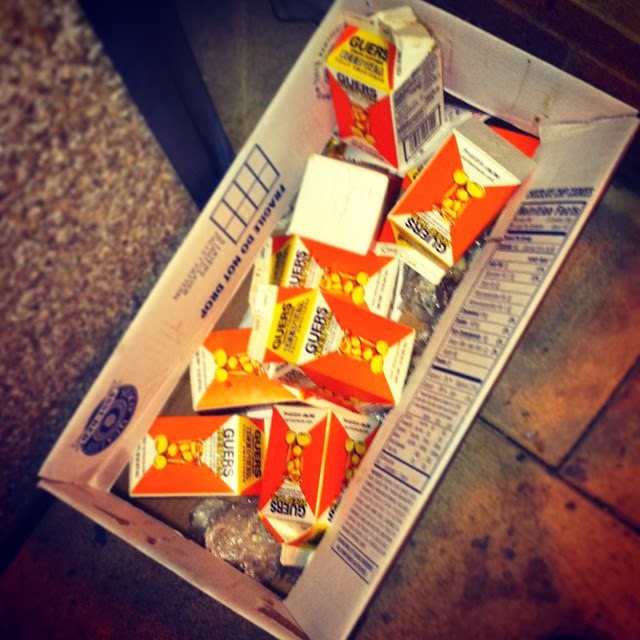 SKOOK SPOTLIGHT Our Obsession With Guers Iced Tea (8 Pics)