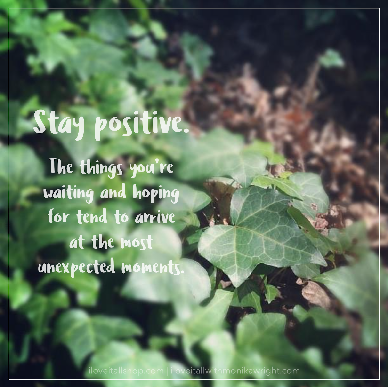 #stay positive #encouragement #encouraging #ivy #nature #waiting #hoping #unexpected moments #quotes #quote