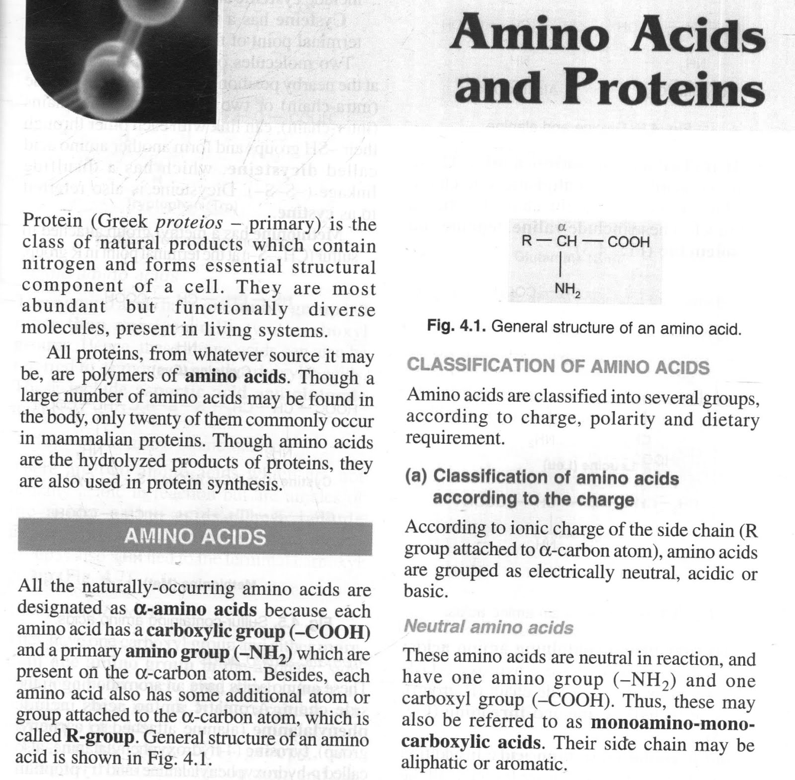 hydrophobic amino acids mnemonic hydrophobic amino acids mnemonic