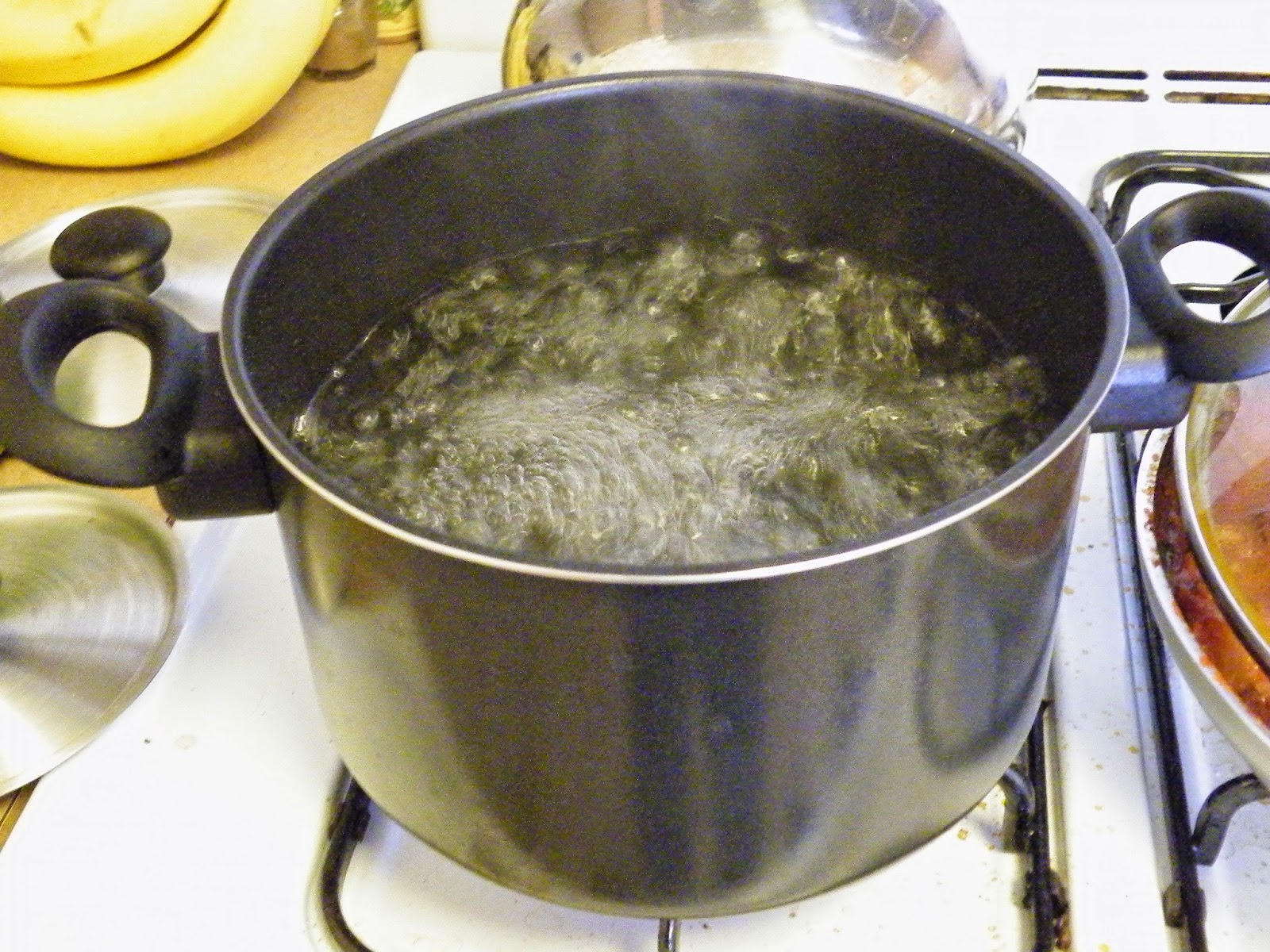 The Lazy Housekeeper Boiling Water