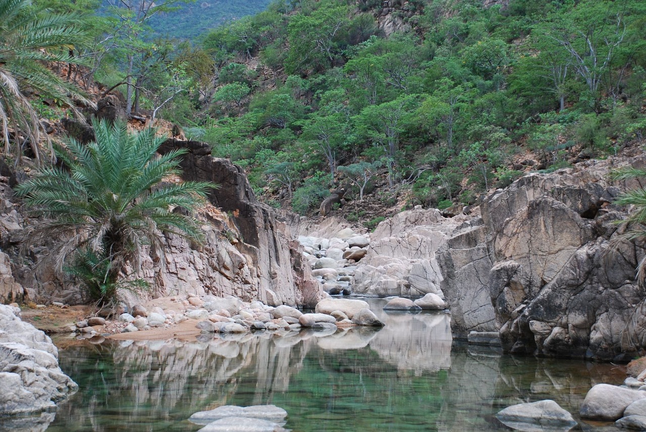 Загадки Нашей Планеты: Остров Сокотра