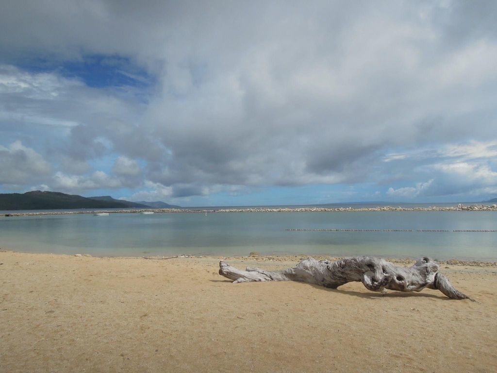 Driftwood on the beach in Misibis Bay