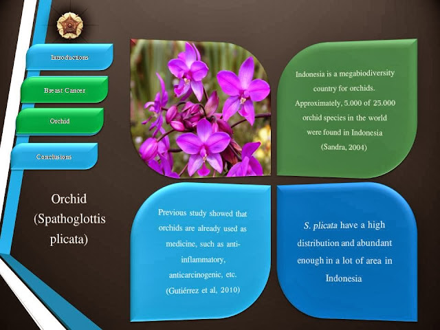 Naskah Mc Maulid Nabi Bahasa Inggris - X Dakwah