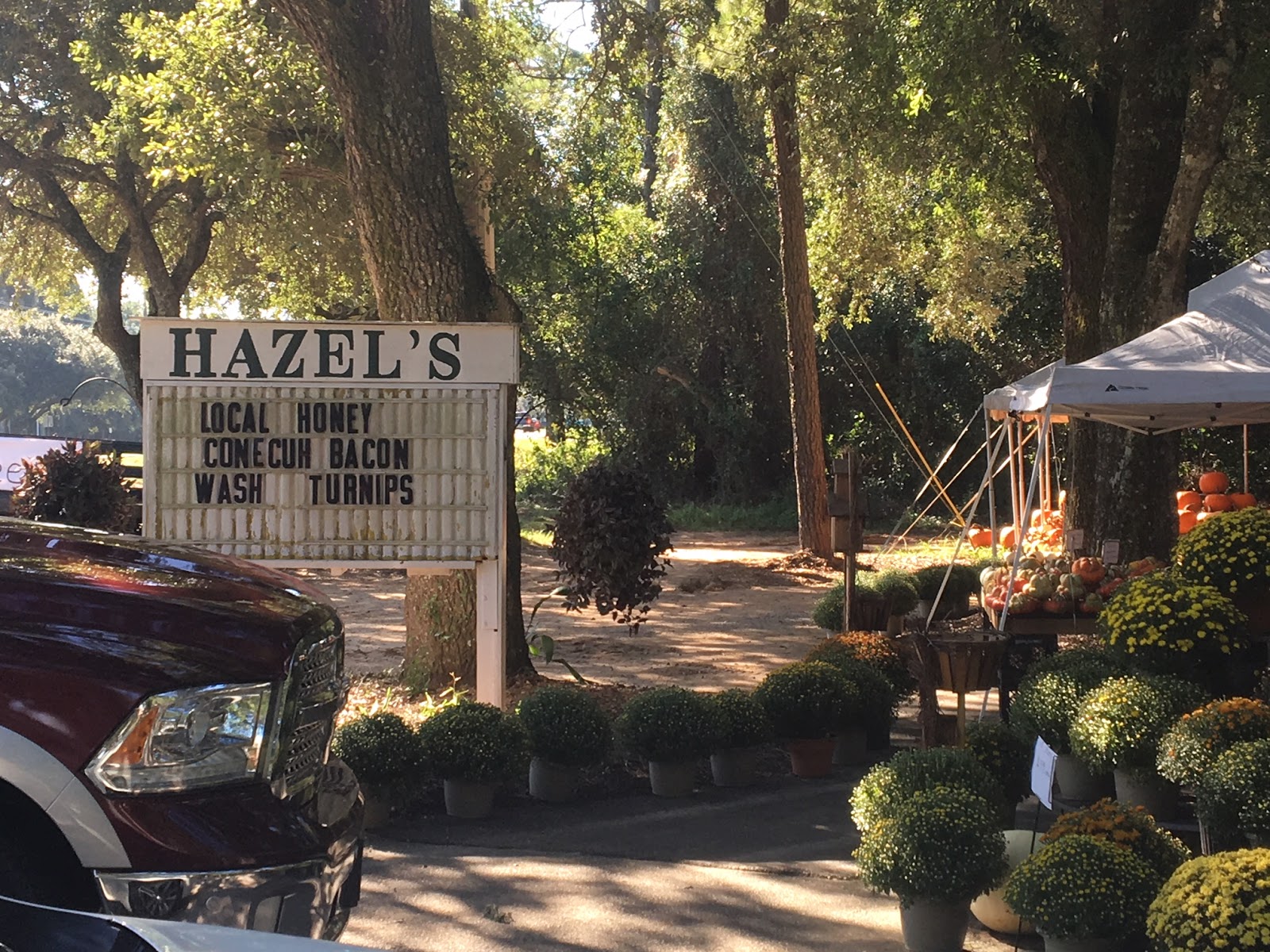 The Uptown Acorn Fall Breakin' {Hazel's Market Daphne, AL}