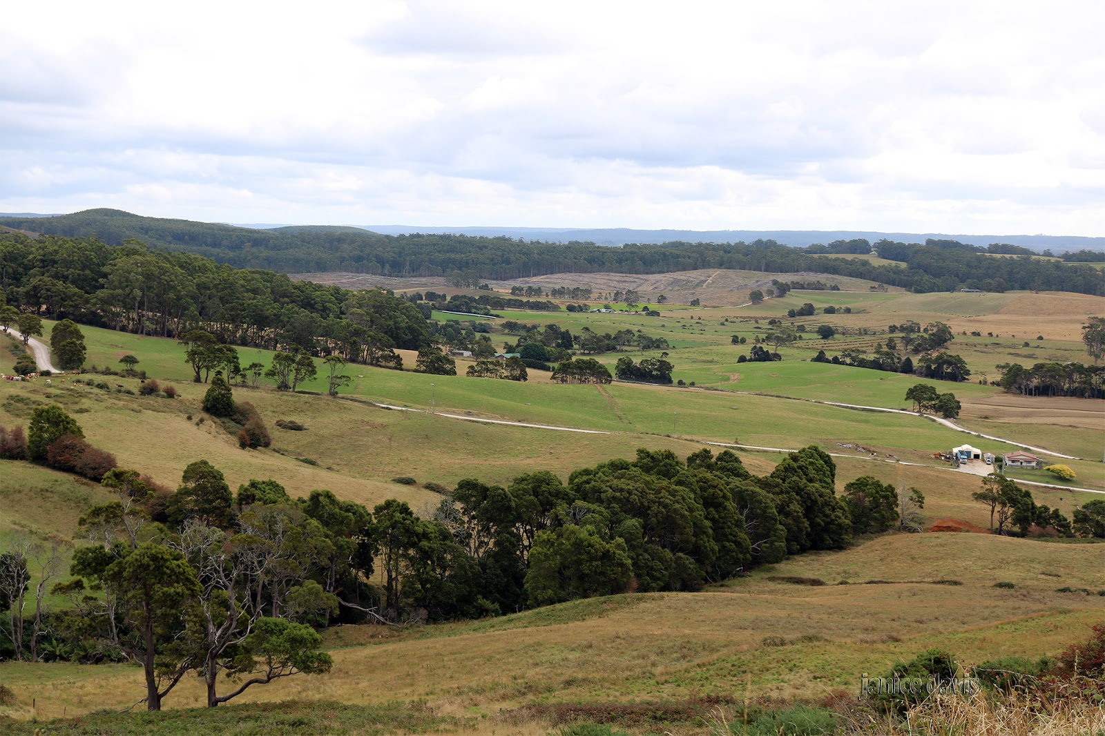 thoughts & happenings Irishtown, Tasmania.