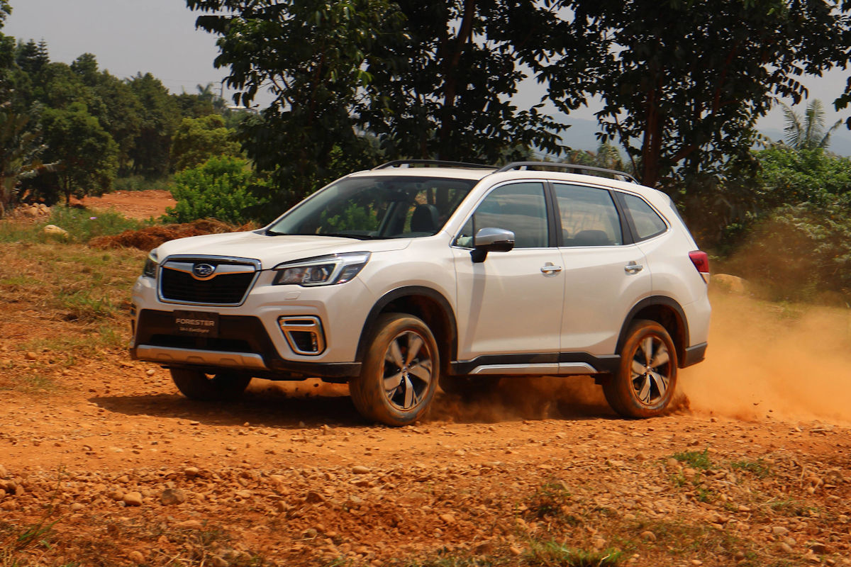 No Turbo No Problem Can The 2019 Subaru Forester Out