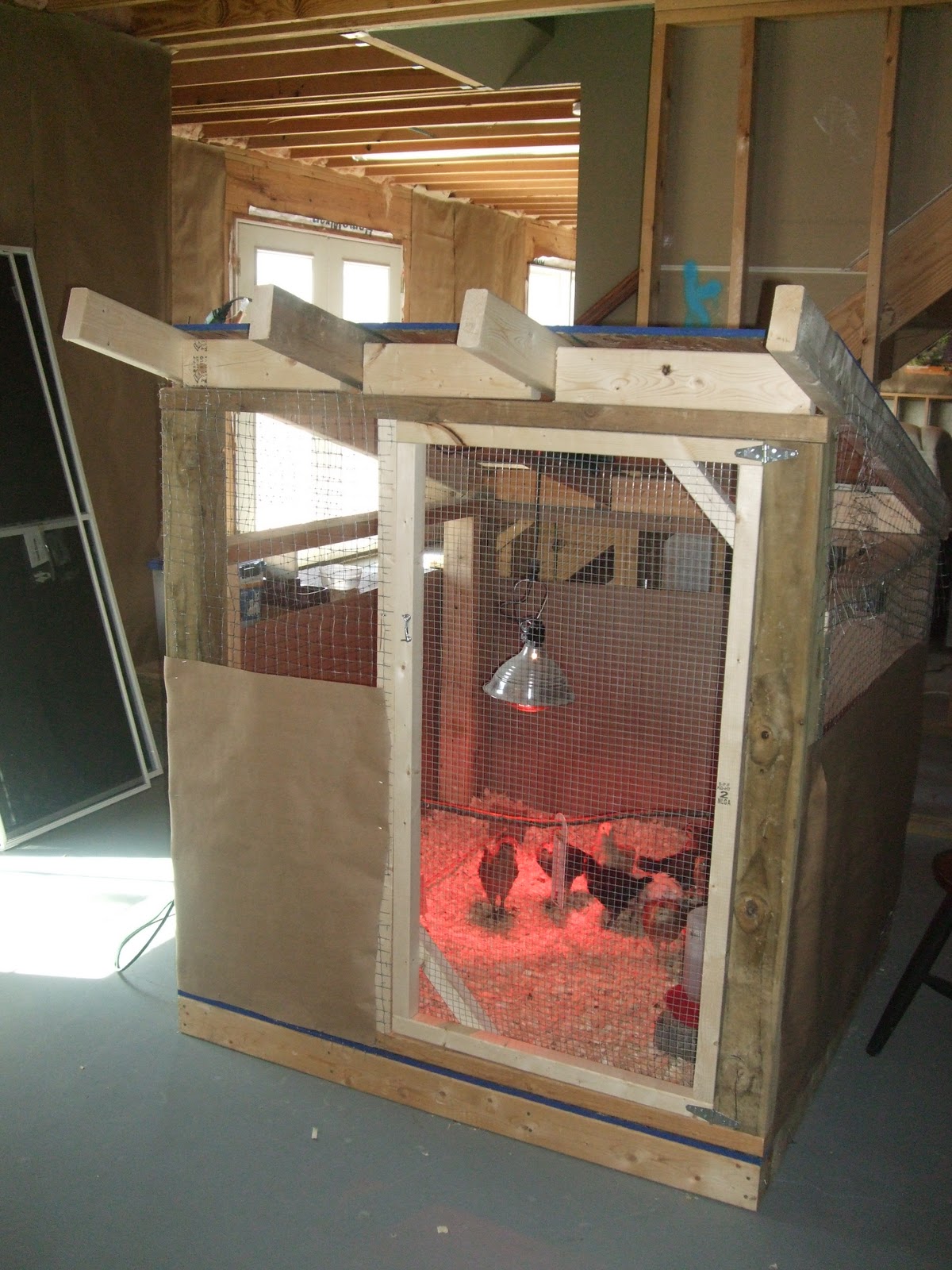 Pam's Backyard Chickens How to Build a GrowOut Coop for Baby Chicks