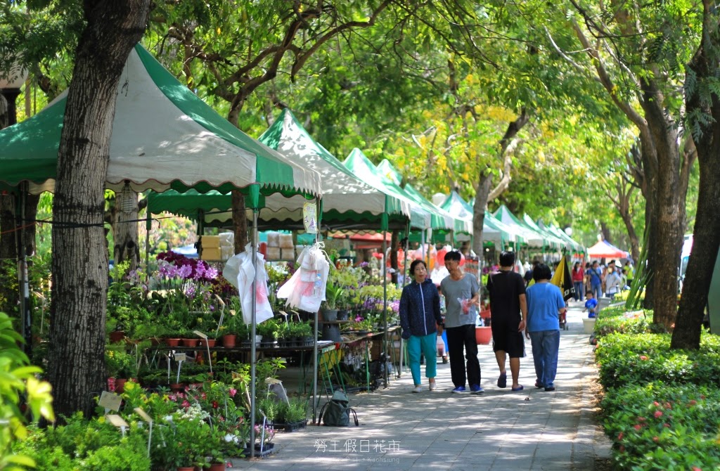 高雄前鎮景點,勞工公園假日花市-6