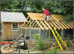 chicken coop chick run roof chickens netting essentials roofing covering outdoor weather designs luxuries coops raising predators diy dry space