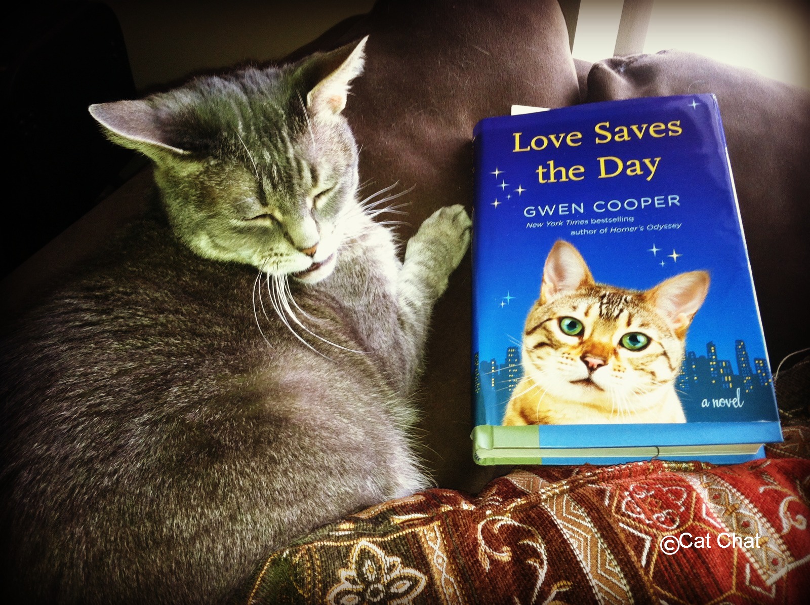 Cat Chat With Caren And Cody: Book Review: "Love Saves the Day" by Gwen