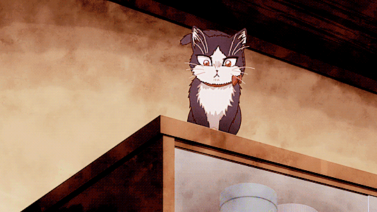 Get Https Encrypted Tbn0 Gstatic Com Images Q Tbn 3aand9gctcgue422fez7f7ohcvbk0g9t H9papfysadg Usqp Cau For Free Get Wallpaper Https Encrypted Tbn0 Gstatic Com Images Q Tbn 3aand9gctcgue422fez7f7ohcvbk0g9t H9papfysadg Usqp Cau HD