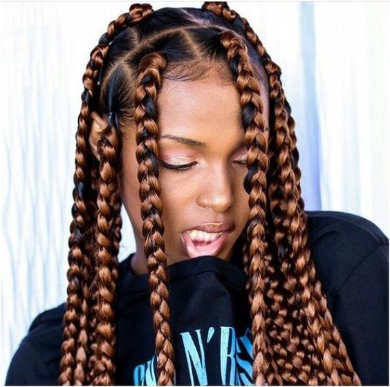 Coiffures Protectrices Hiver 2019 15 Idees De Box Braids