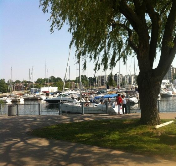 Hamilton s Best Restaurants According To Me Williams Fresh Cafe by hamilton-s-best-restaurants-according-to-me-williams-fresh-cafe-by