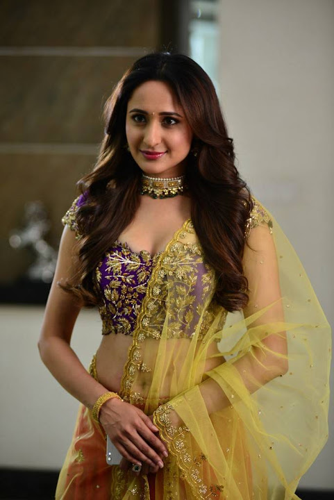 Pragya Jaiswal Stills From Gunturodu Movie