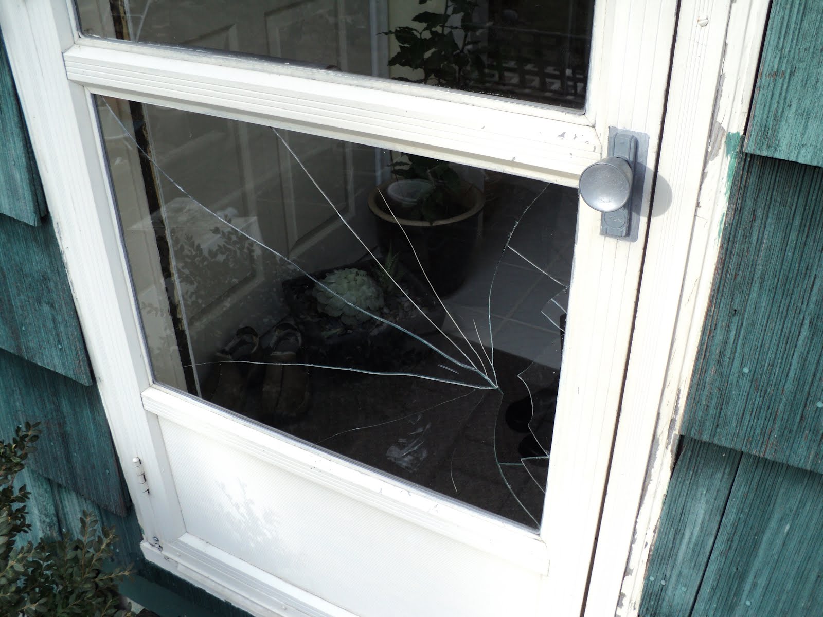 Rouge River A Storm Door Broken Window Repair