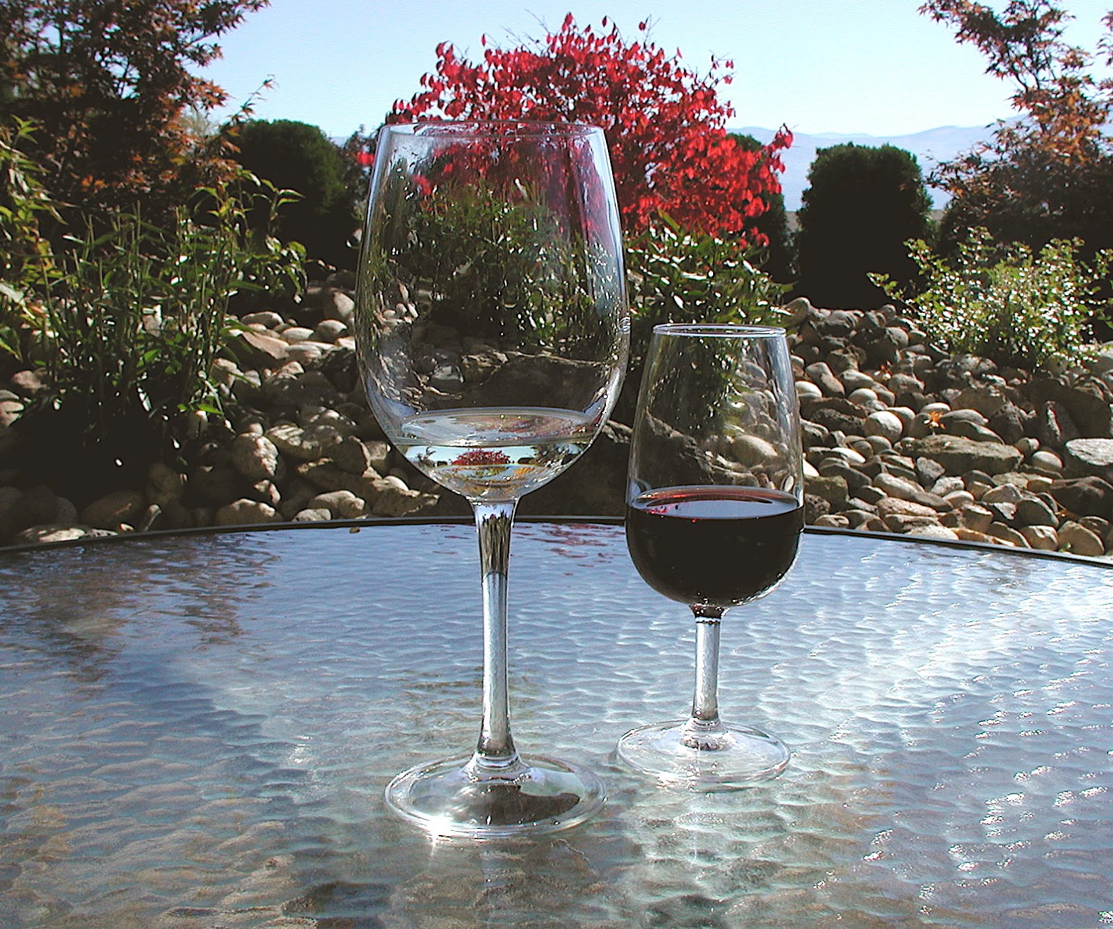 Closet Canuck Great Estates Wine Experience Centre opens in Penticton