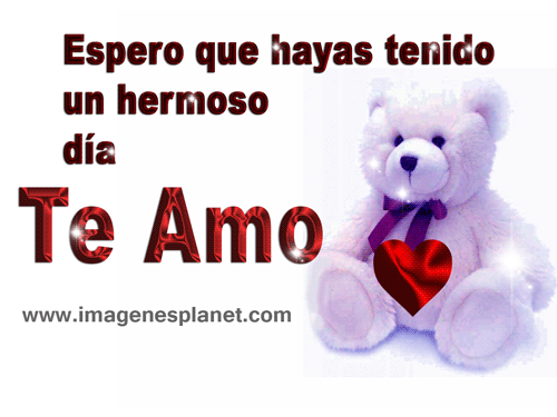 osos de peluche con frases de amor