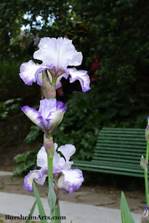 Florence Italy flowers happy birthday Rudy gardens