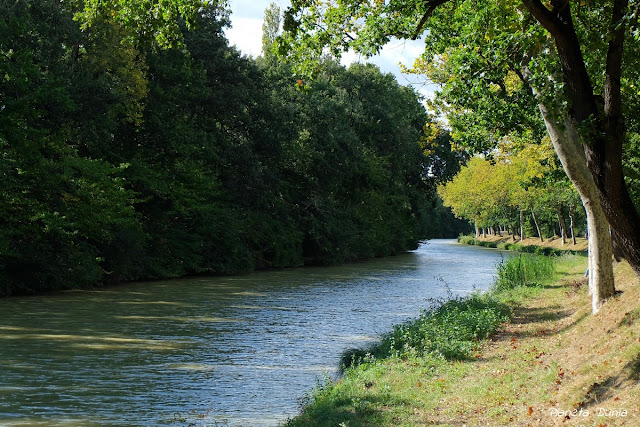 Haute-Garonne UNESCO