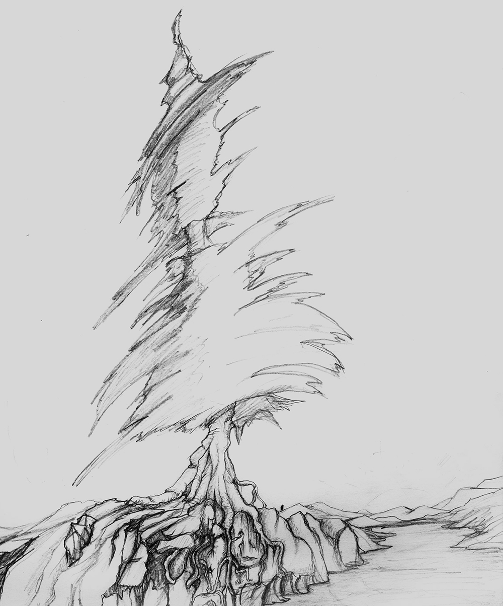 KINKOTI: MY DRAWINGS