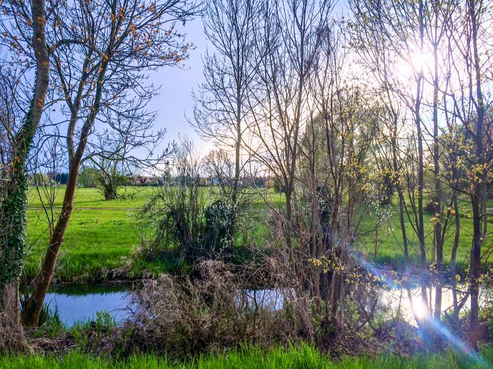 Spreewald // Szprewald – magiczna kraina zwana niemiecką Wenecją