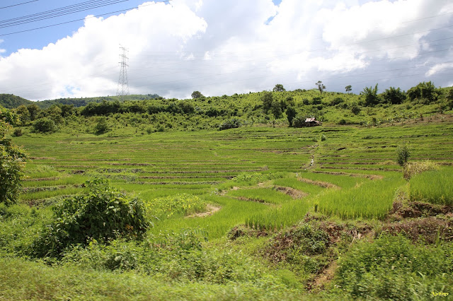 No hay caos en Laos - Blogs de Laos - 19-08-17. De vuelta a Luang Prabang. (4)