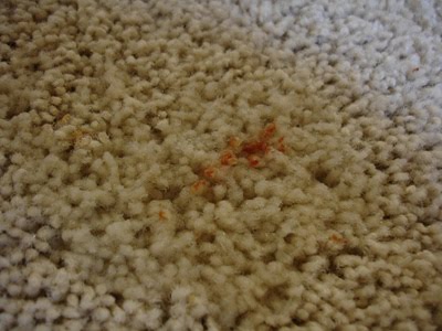 Our Homemade Happiness: Club Soda Carpet Cleaner