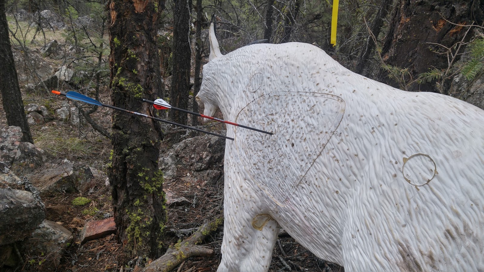Rocky Mountain Outdoor Adventures First Archery Shoot for 2017