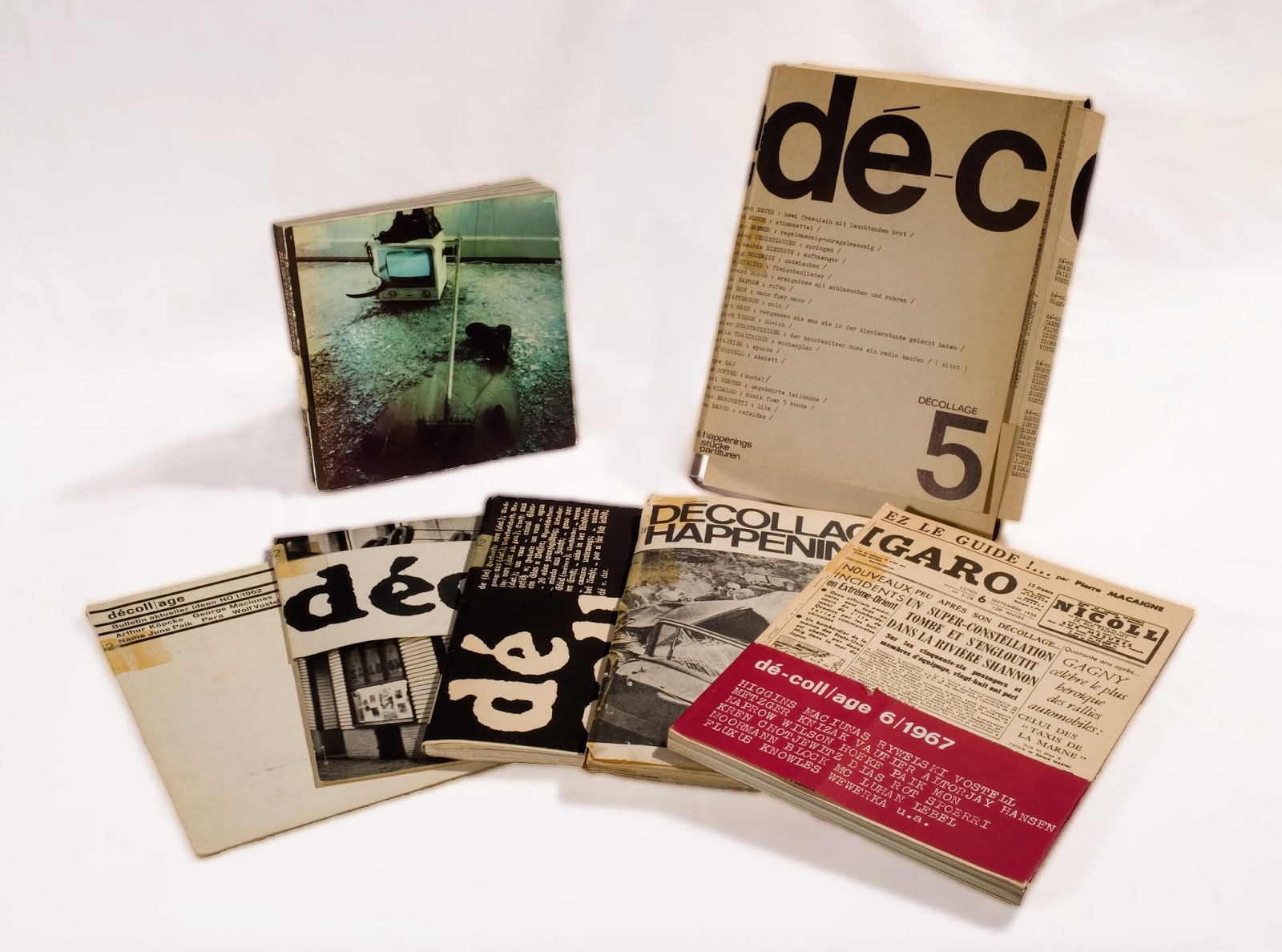 Http Davideberhart Com Soccorro Island Electric Ray Jpg Http Www