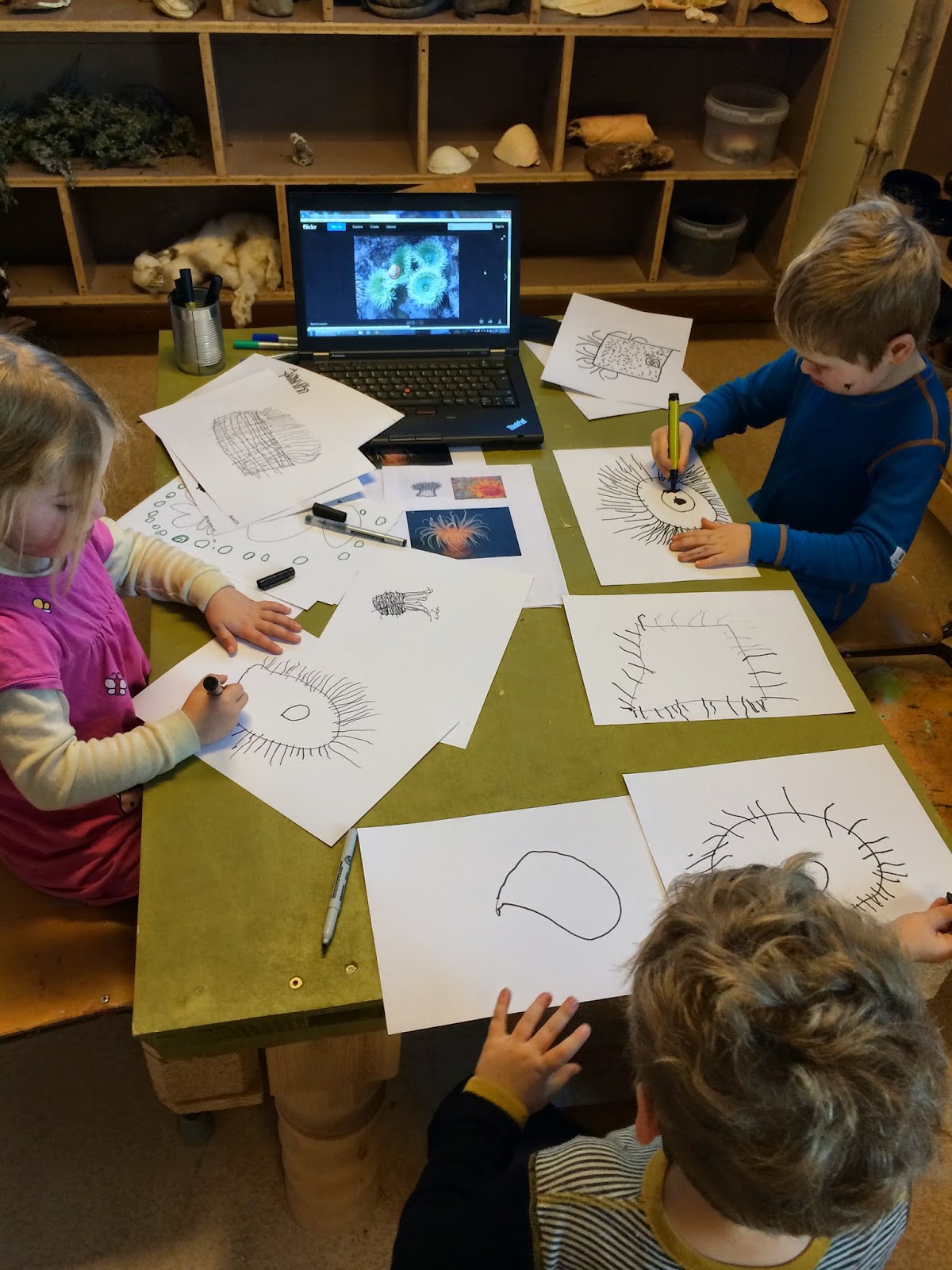 Planetringen Barnehage Vi Ser N rmere P Sj rosa