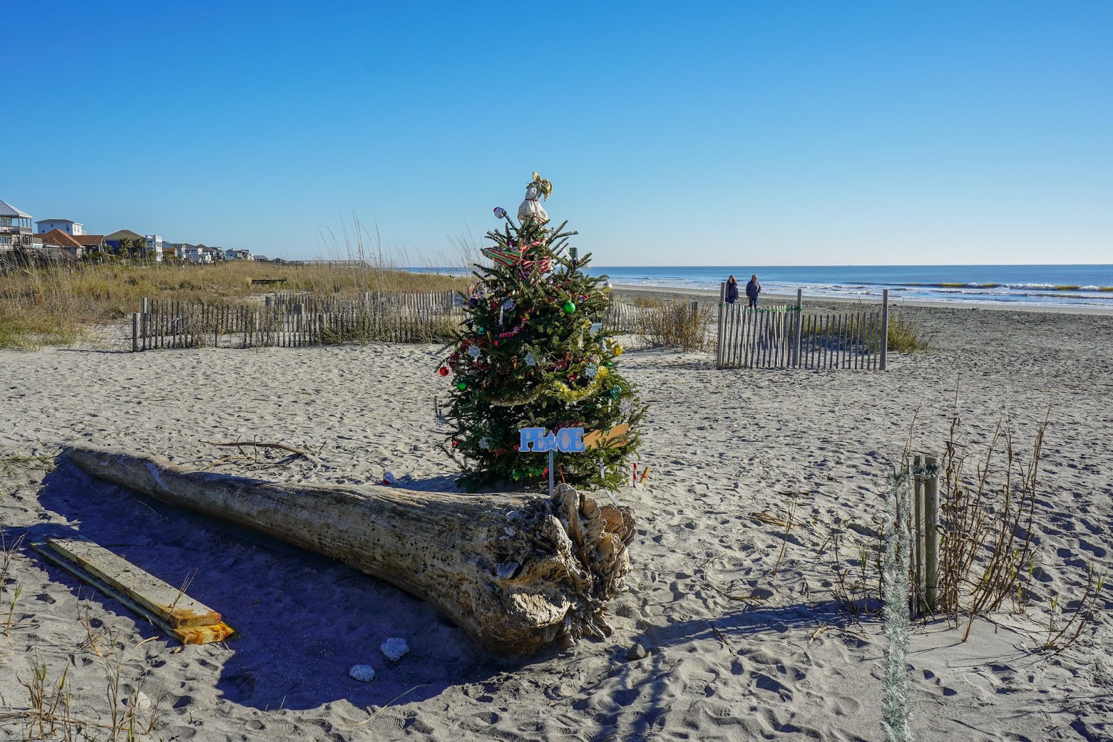 Charleston Daily Photo Merry Christmas from Folly Beach