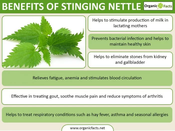Englishlinks Word of the day Nettle / expressões com "call'
