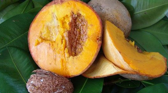 Inilah 6 Buah Paling Unik yang Belum Pernah Anda Temui Inilah 6 Buah Paling Unik yang Belum Pernah Anda Temui