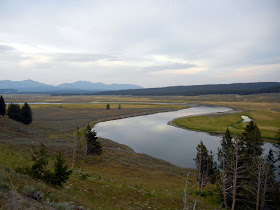 Hayden Valley in Yellowstone National Park in Wyoming Hayden Valley in Yellowstone National Park in Wyoming