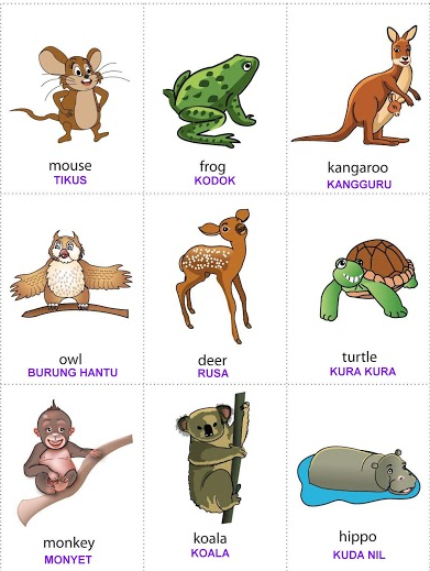 Flash Card Belajar Bahasa Inggris Tema Binatang Anak Paud Tk