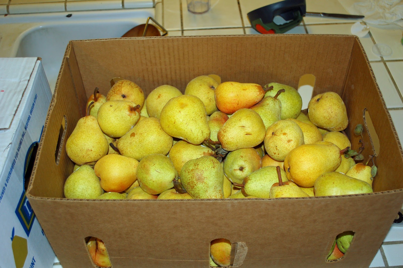 My Year Living On Food Storage Canning Pears
