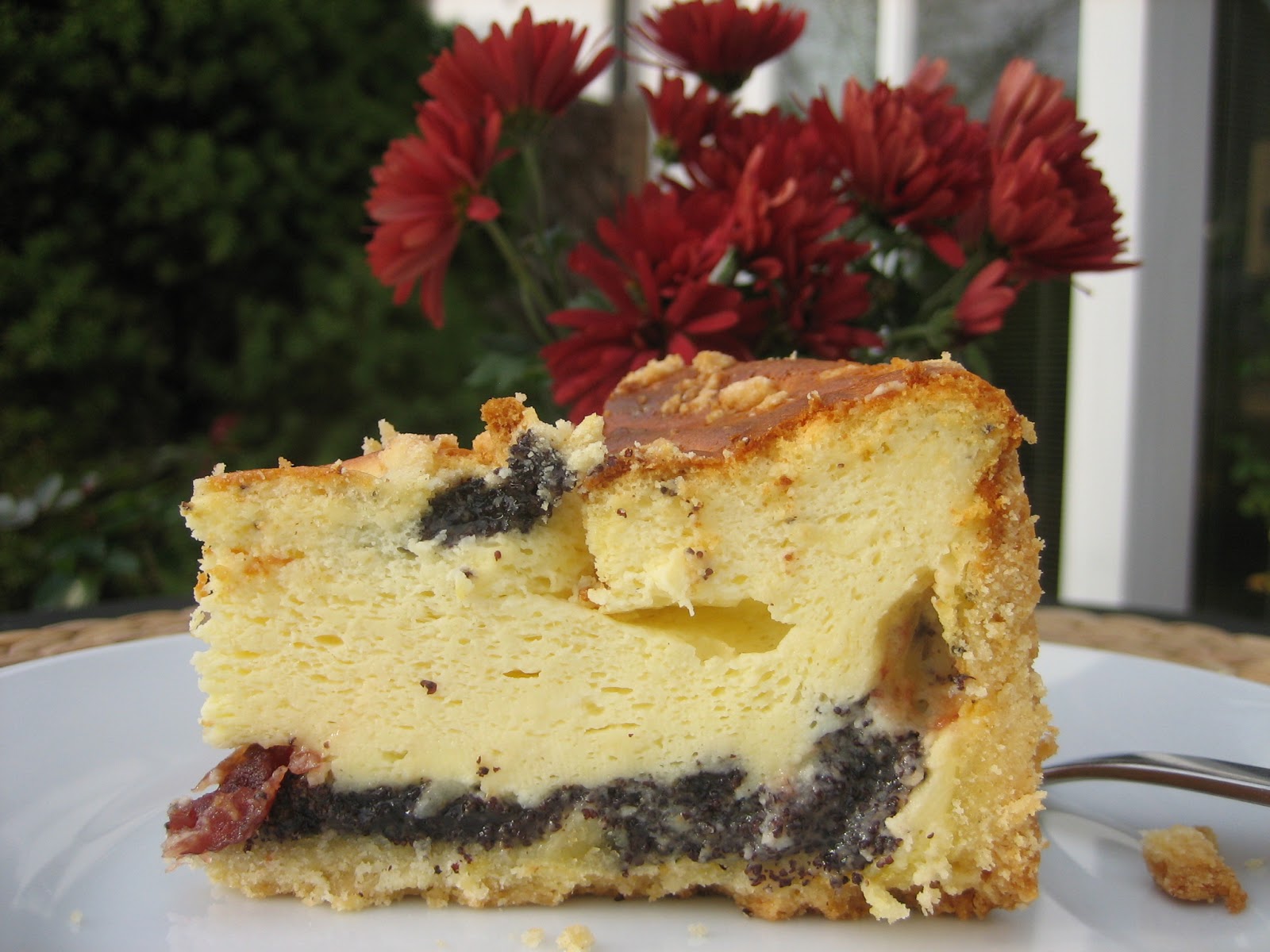 TASTE IT: KÄSEKUCHEN MIT MOHN UND CRANBERRYS