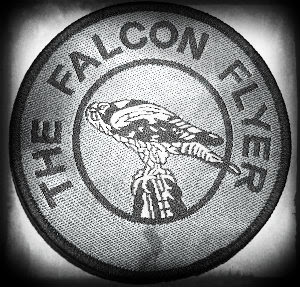 Falcon Flyer 2013