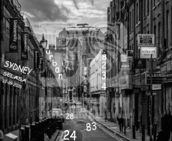 PREDIKSI SYDNEY COJEEL