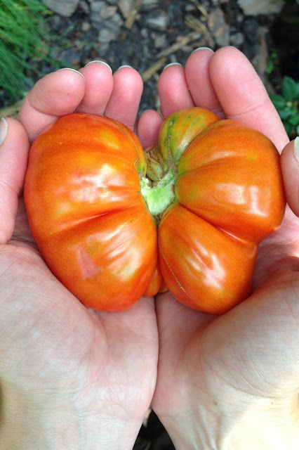 gardening, tomatoes, joy, magic, My Giant Strawberry, Anne Butera