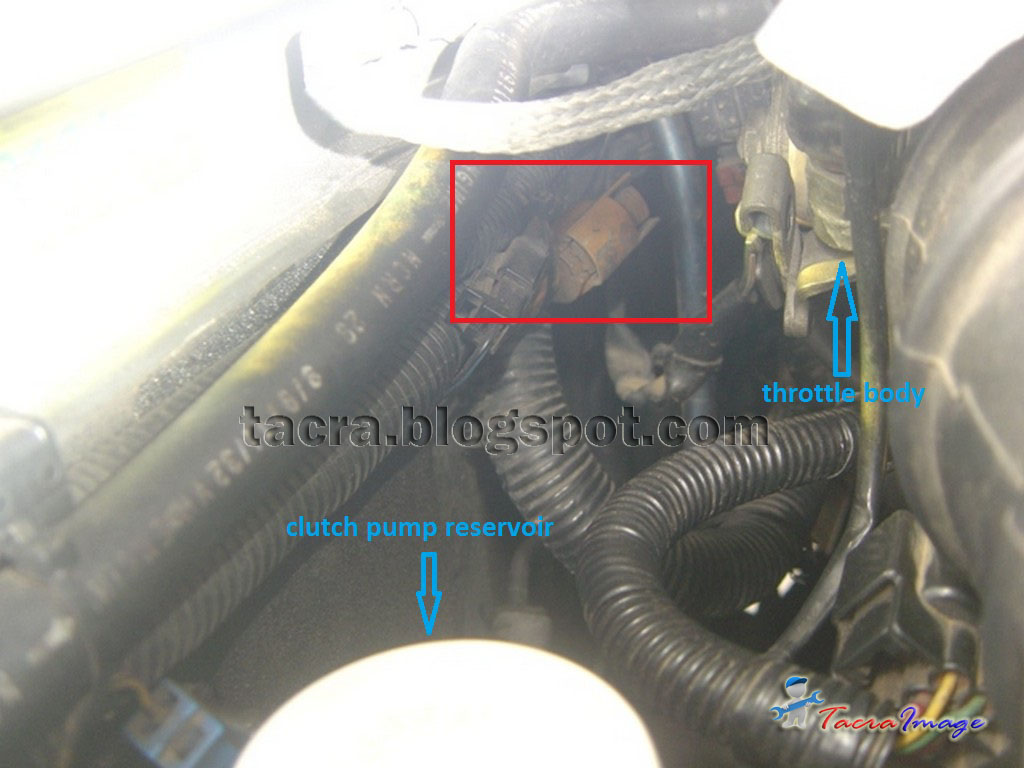 tacra's diy garage How To Use Timing Light