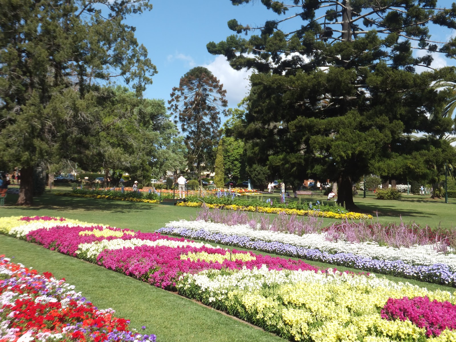 The Next Stage Part 3; Queen's Park during Carnival of Flowers