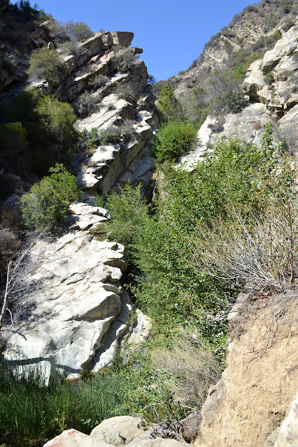 waterfall among rocks and trees