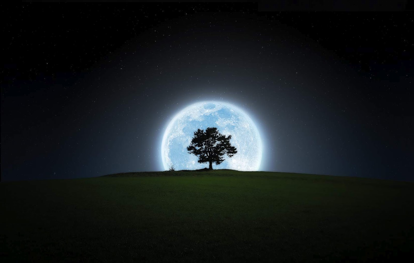 Black And White Wallpapers: Full Moon And Tree Wallpaper