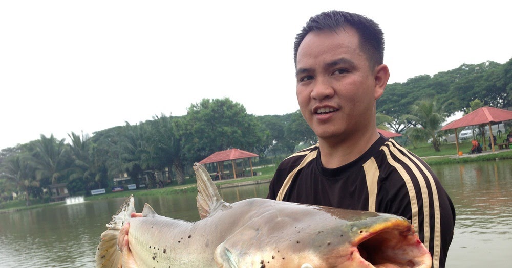 Master Umpan Ikan Patin Galatama - Toko Umpan Master Essen 100 % Asli