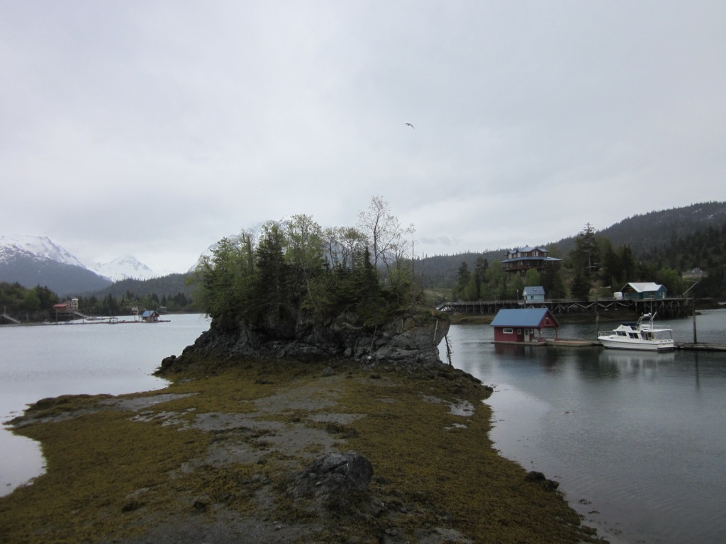 each day an adventure in alaska halibut cove...act three