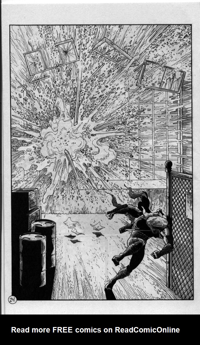 Read online Teenage Mutant Ninja Turtles (1984) comic -  Issue #54 - 25
